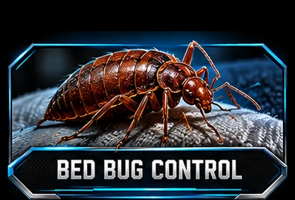 Bed Bug Control